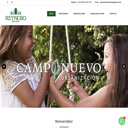 Reynosos Bienes Raíces